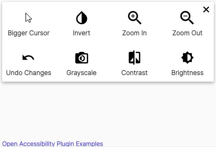 How to Choose the Right Accessibility Plugin for Your Needs