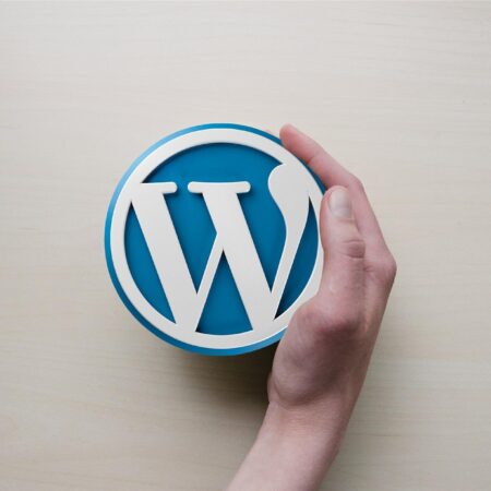 Best WordPress Survey Plugins (Compared)