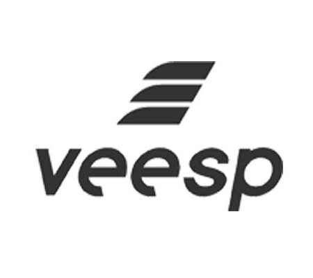 Veesp Review: Is Their Hosting Worth Your Investment?