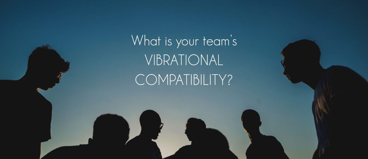 Assessing Compatibility with Your Team and Business Culture