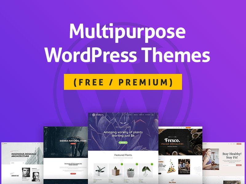 Embrace Versatility with Multi-Purpose Themes