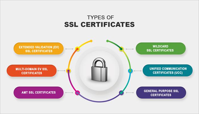 Choosing the Right SSL Certificate for Your Needs