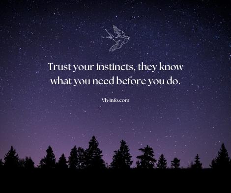 Making the‍ Final ‌Decision: Trust Your Instincts⁣ and Research