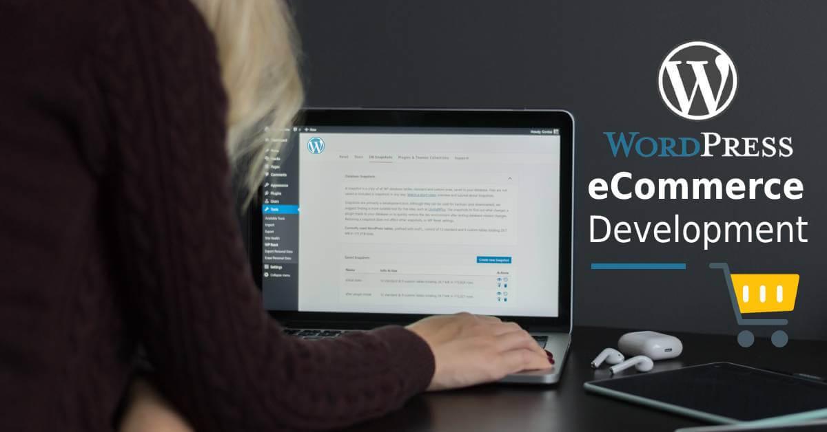Key Skills to Look for in a WordPress eCommerce Developer