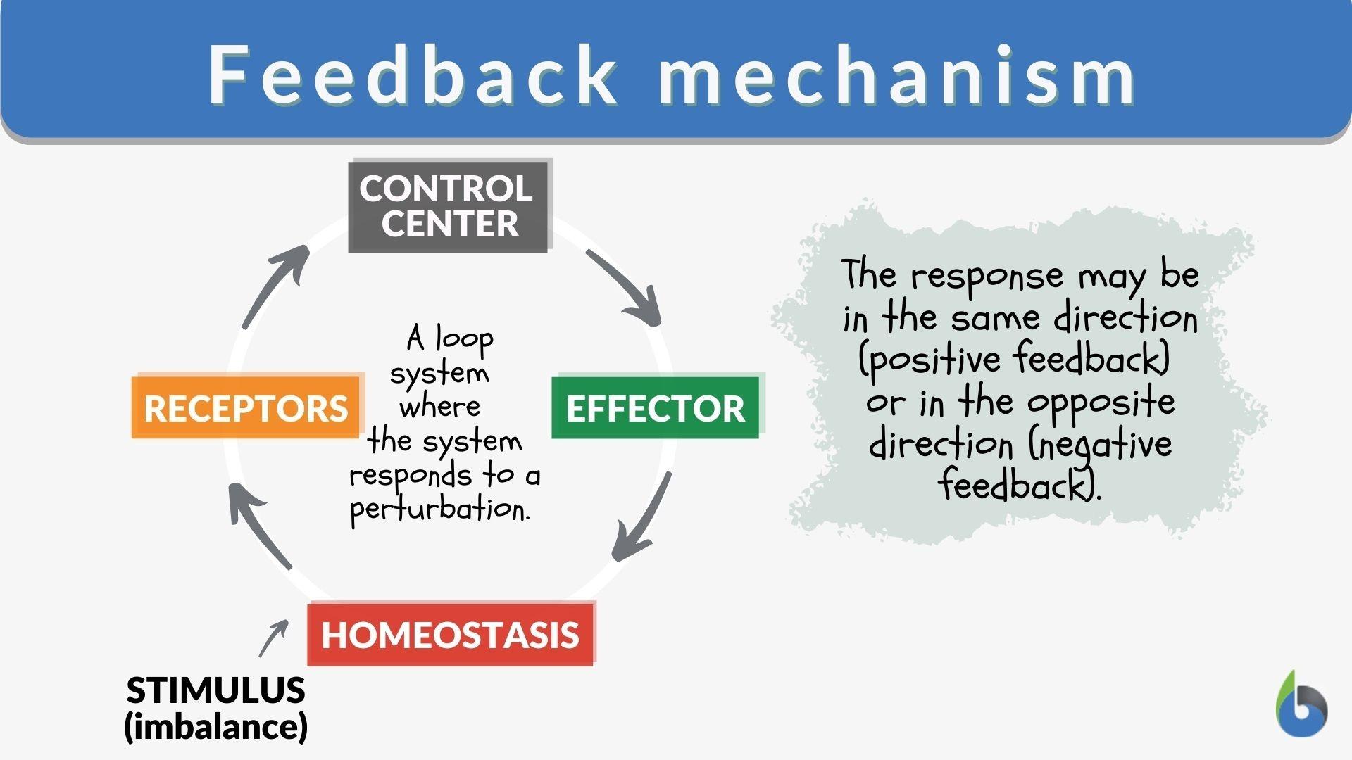 Implementing Regular Feedback Loops ⁣for Continuous⁤ Improvement