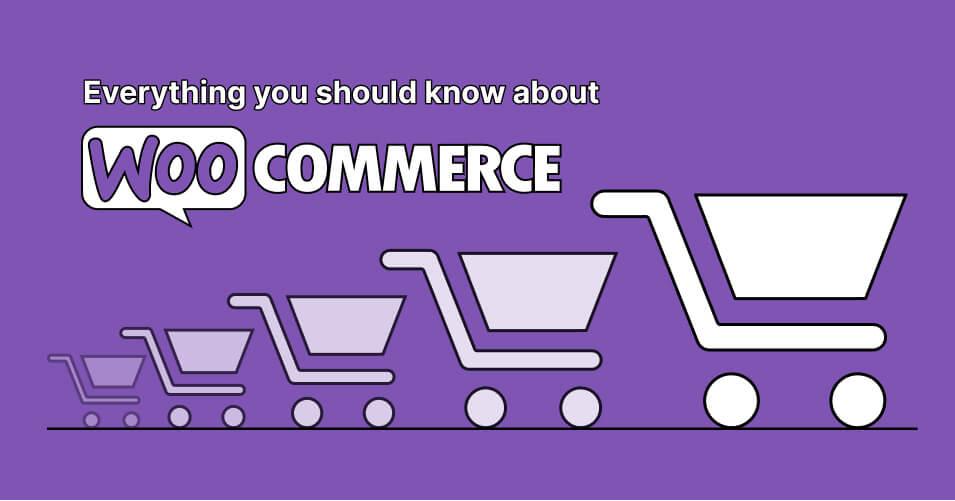 Setting Up Your WooCommerce Environment for Afterpay Integration