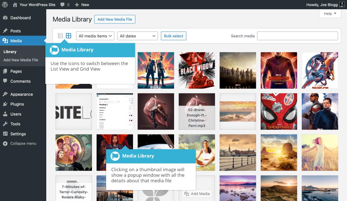 Understanding the WordPress Media Library Features