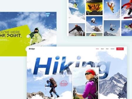 8+ Best Snow WordPress Themes