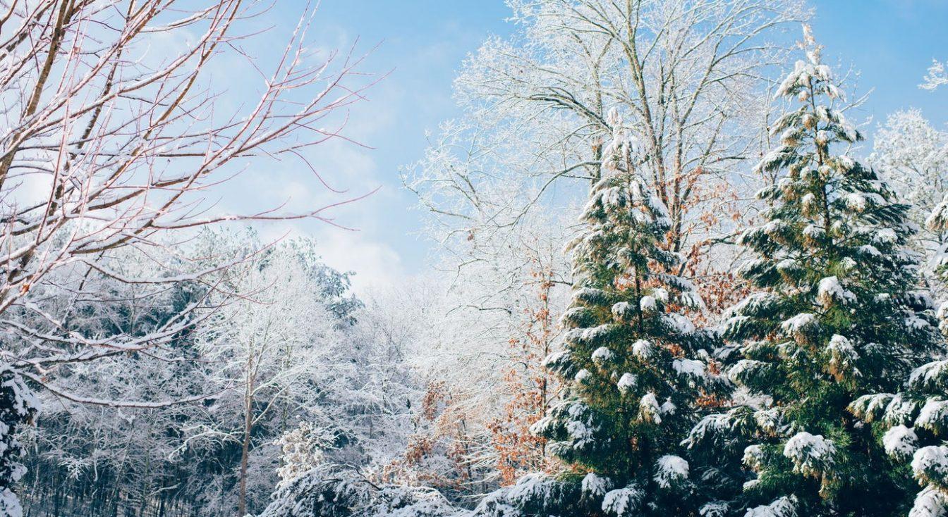 Enhancing Your Content‌ with Snowy Backgrounds‌ and Elements