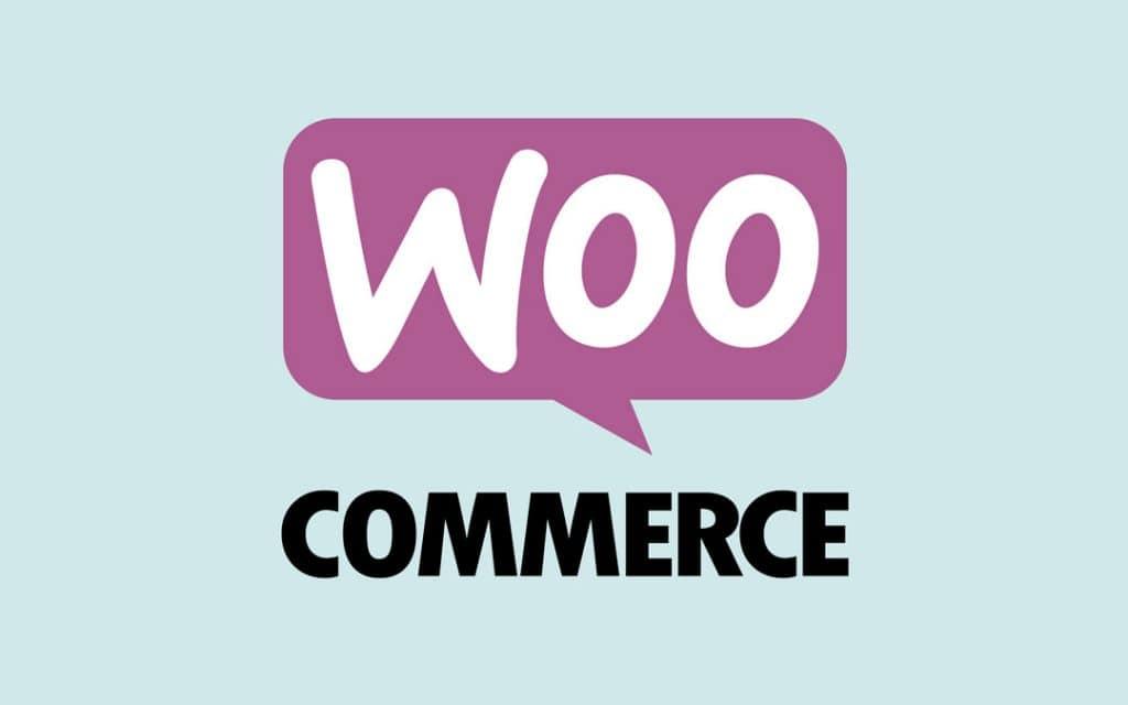 How to Create a Wholesale Website with WooCommerce?