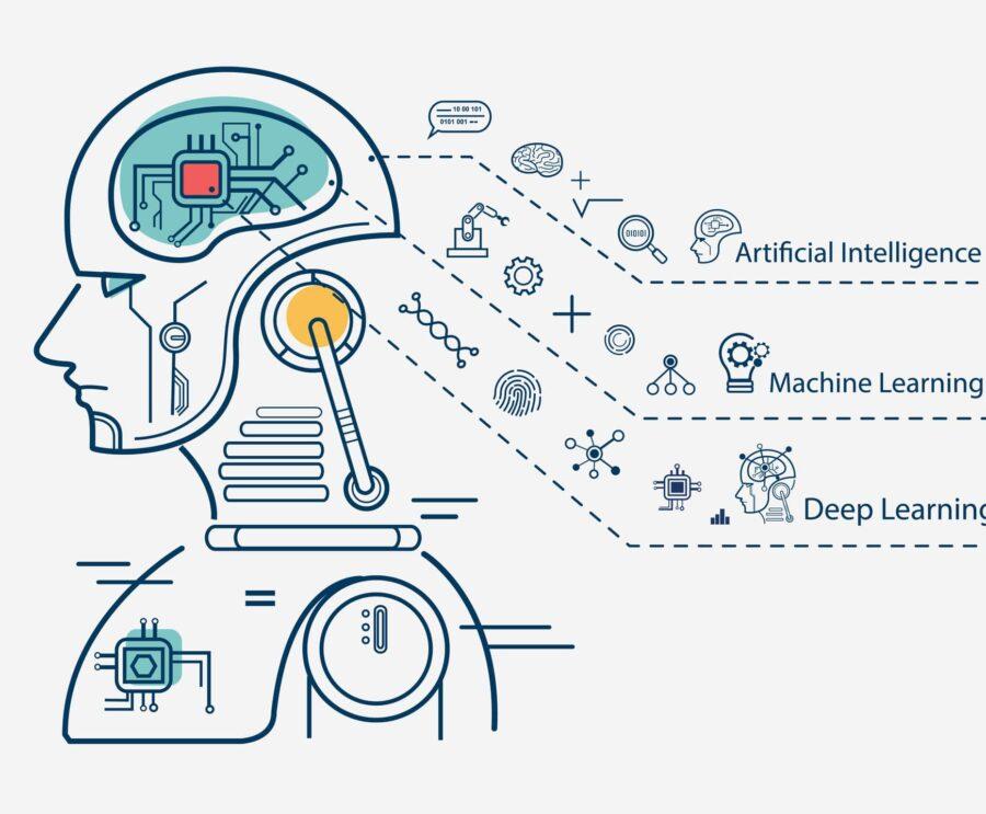 Key Differences in Functionality: How They Operate