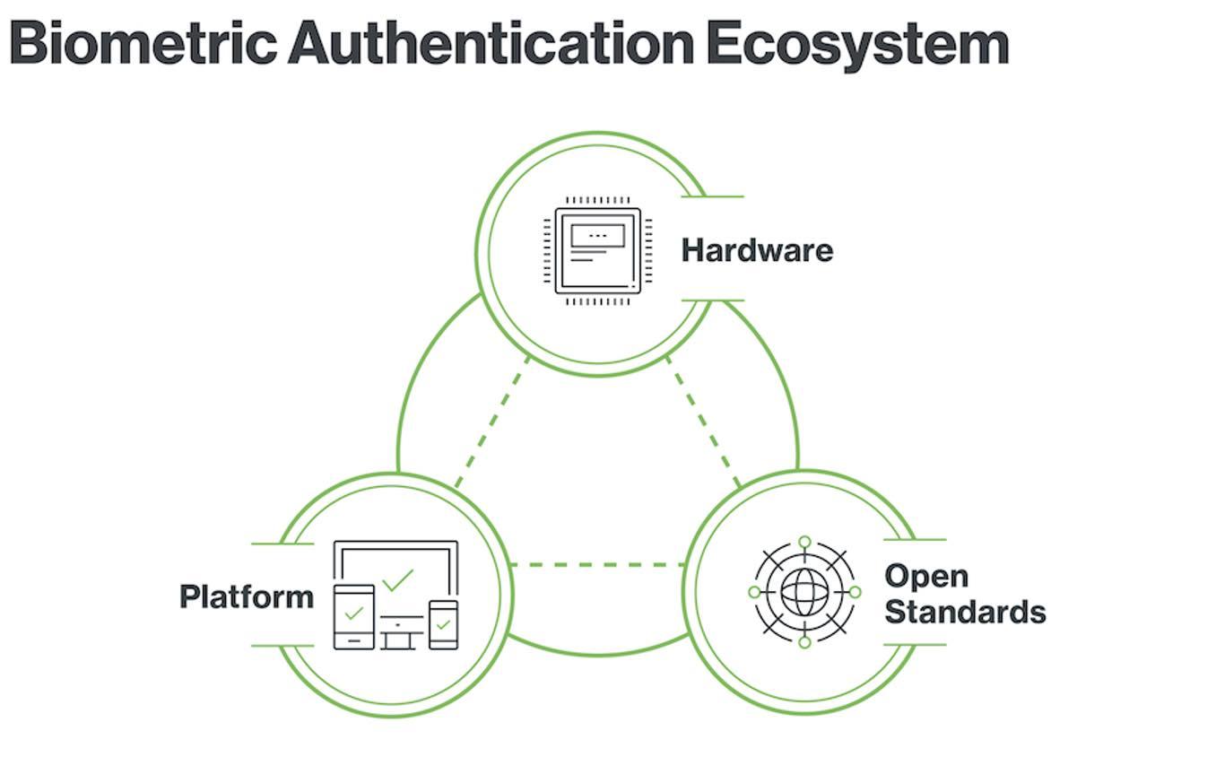 Fostering ​Collaboration for a Robust Biometric Ecosystem