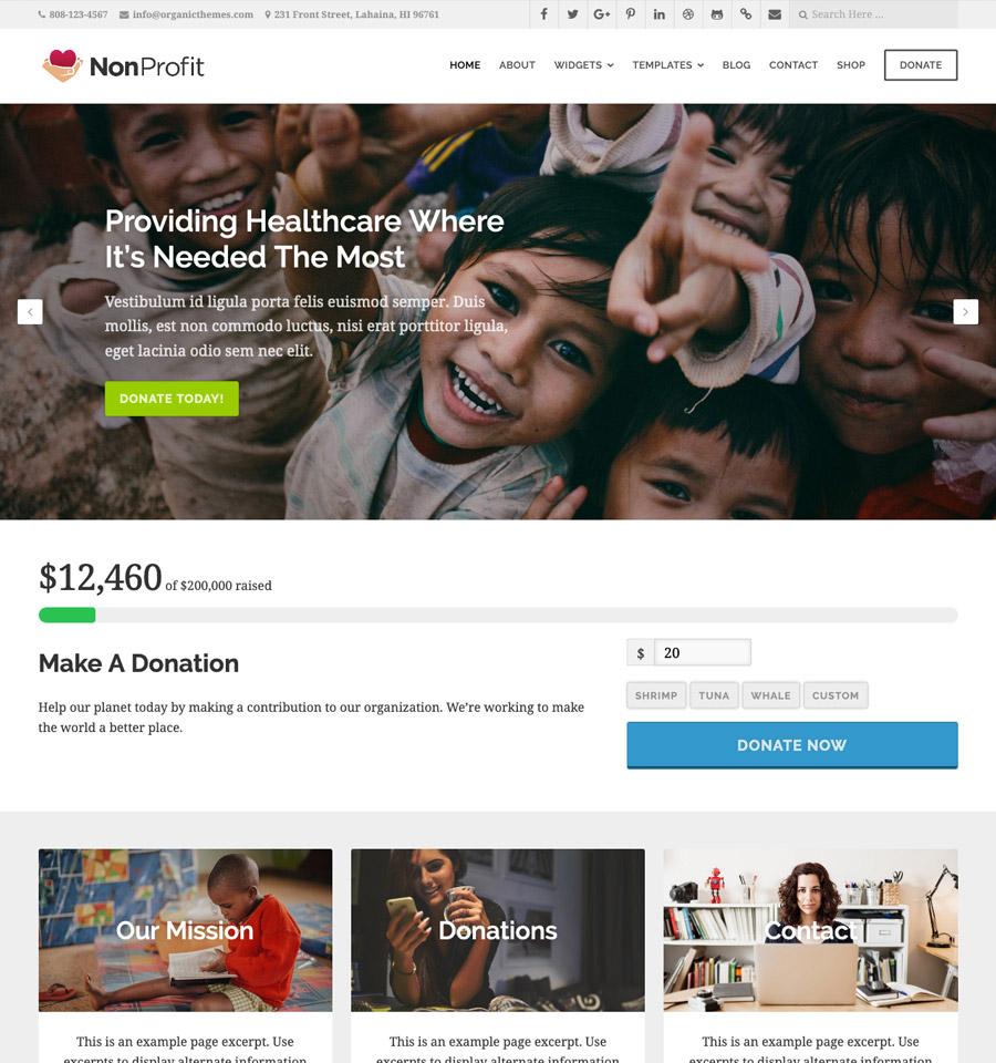 Top Recommendations for Stunning Non Profit Themes