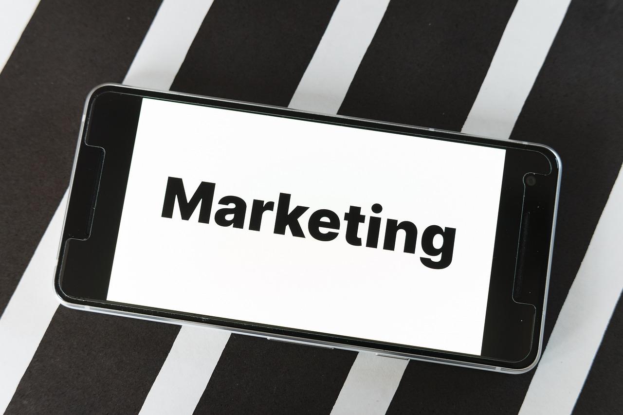 Creating a dynamic educational blogging strategy with expert marketing guidance