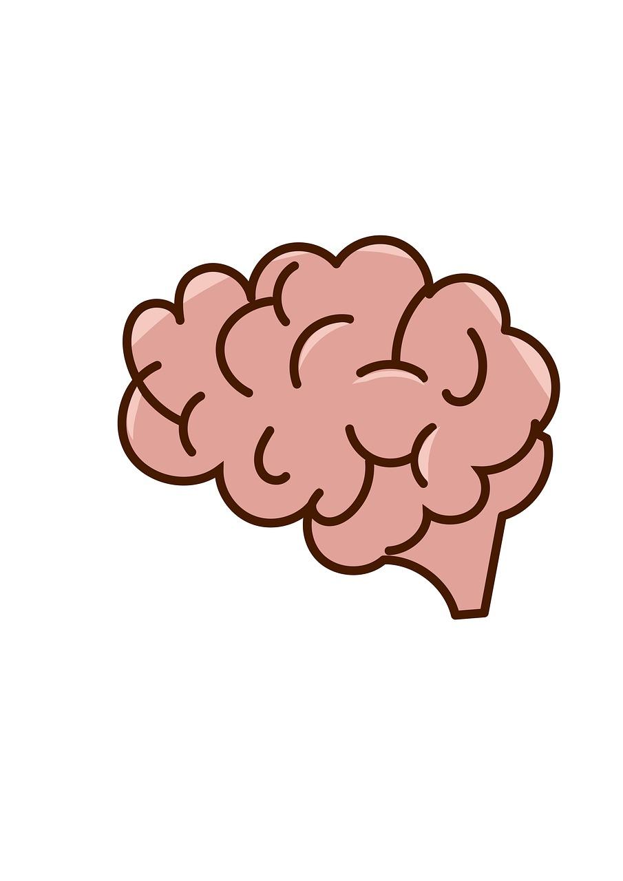 The Cognitive Science of How We Process Online Ads