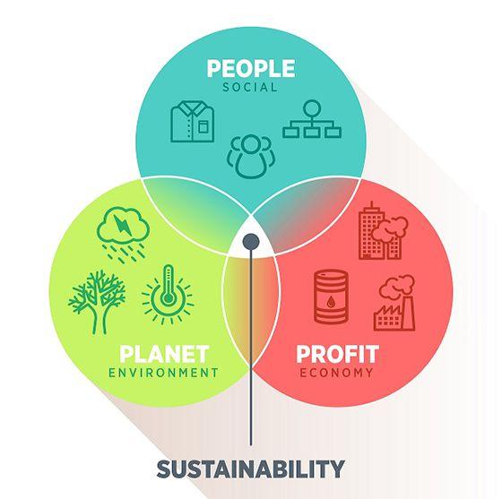 Sustainability in Design: The‌ New Frontier