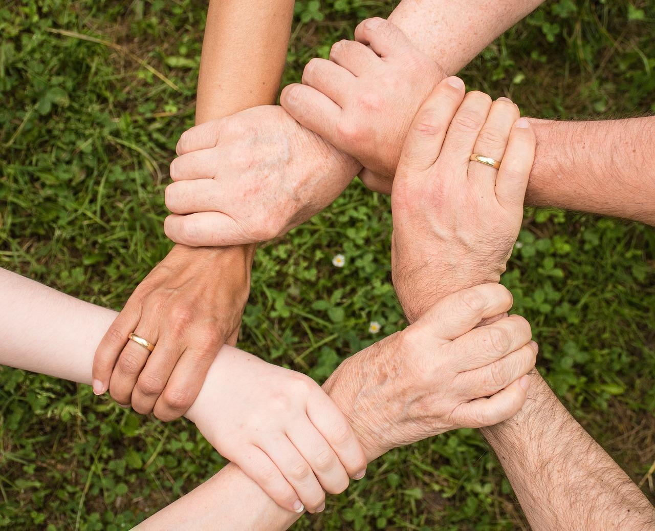 Cultivating a Partnership for Continuous Improvement