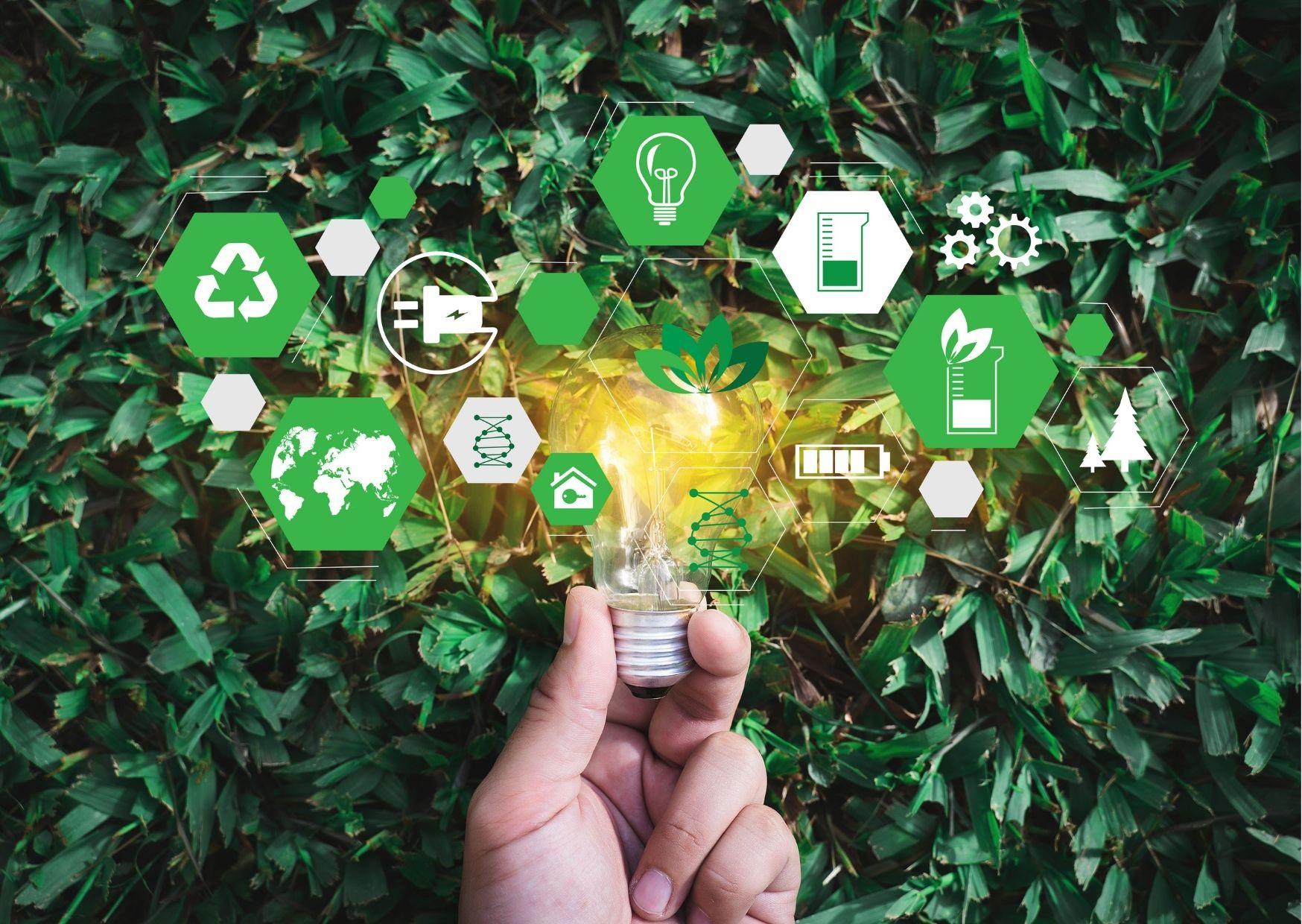 Creating Sustainable Practices with Predictive Analytics