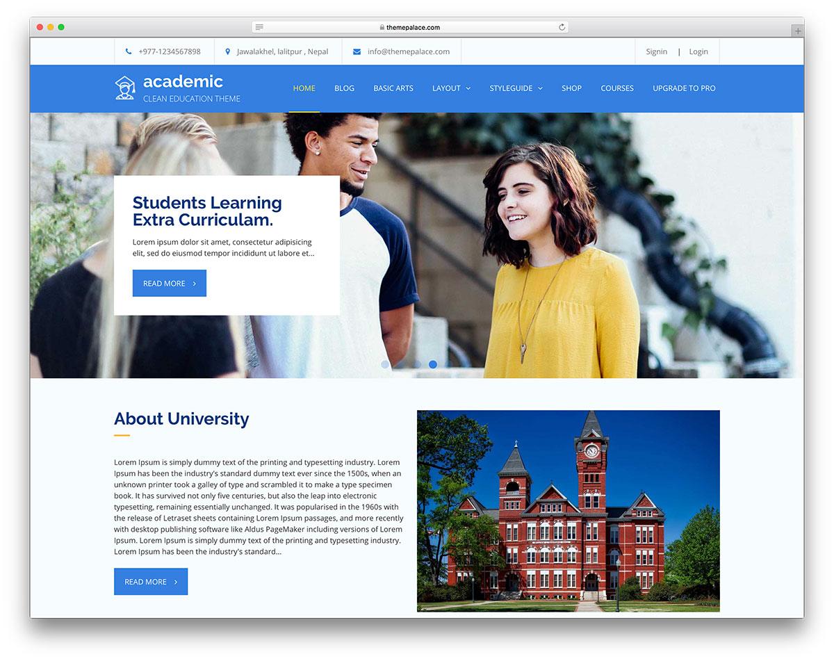 Spotlight on Top Free Themes with LMS Capabilities