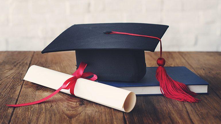 - Elevate Your Educational Institution with Stunning WordPress Designs
