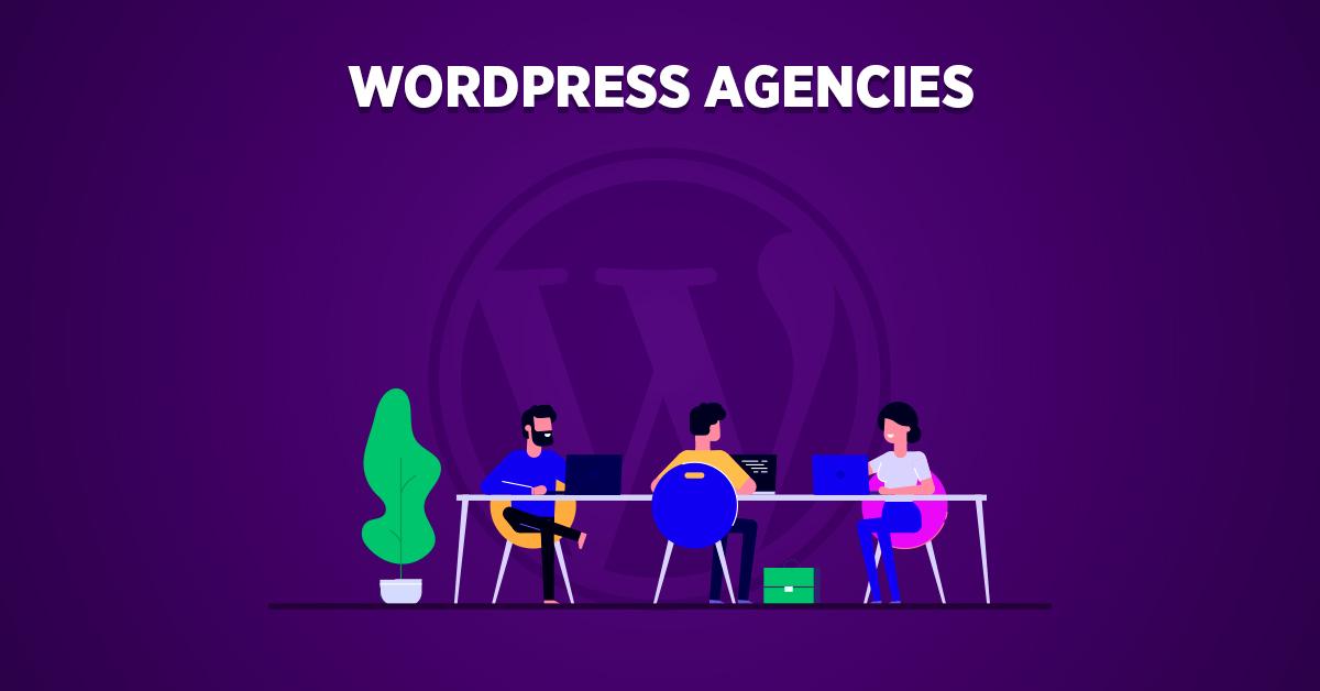 WordPress Agency Lead Gen: How to Find Website Owners’ Emails for Outreach