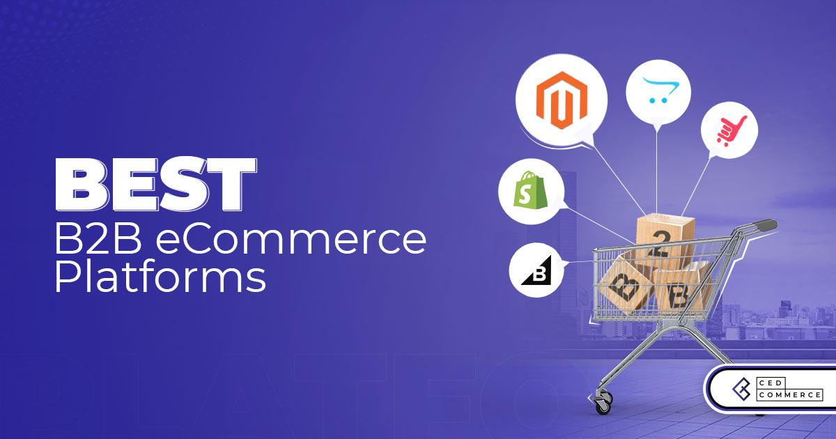 Exploring the Future of B2B Commerce Platforms