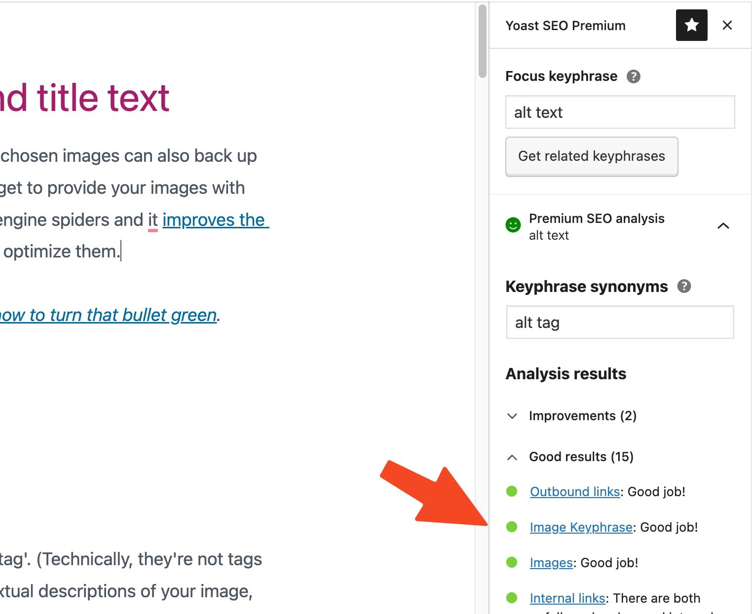 What Is Image Alt Text and How to Add It to Images in WordPress
