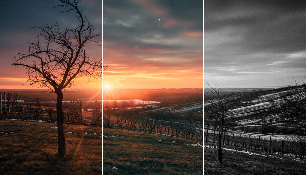 6 Great WordPress Plugins for Photographers, Plus Why You Need Them