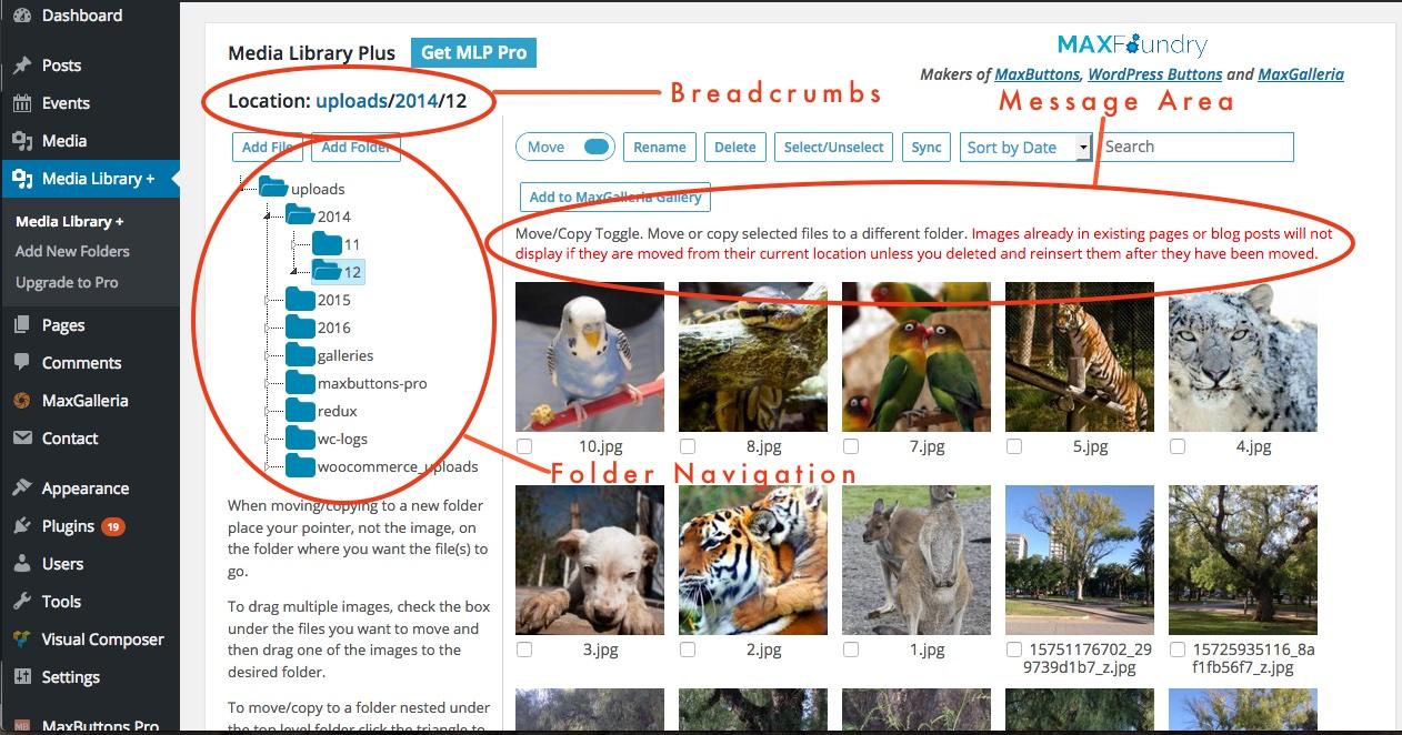 How to Add WordPress Media Folders: Organize Your Media Library Better