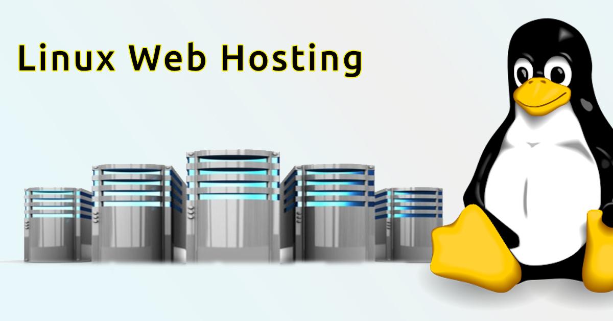 Unveiling‌ Performance: Why‌ Linux Outshines‍ Windows⁣ for WordPress