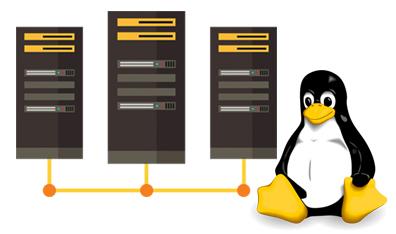 Security Matters: ⁣Assessing the Resilience of Linux and Windows Hosting