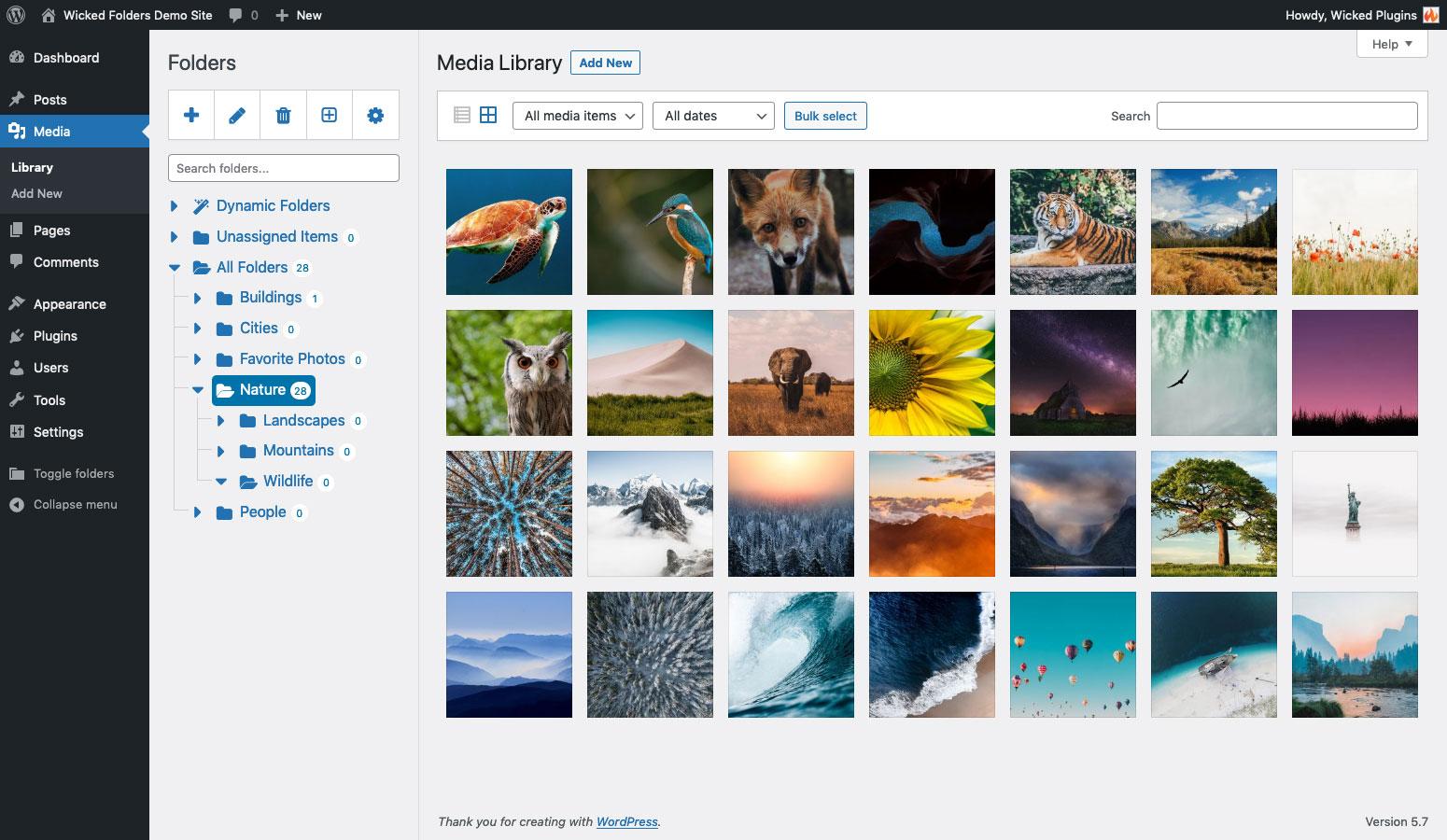 Troubleshooting Common‍ Issues with Media Folders