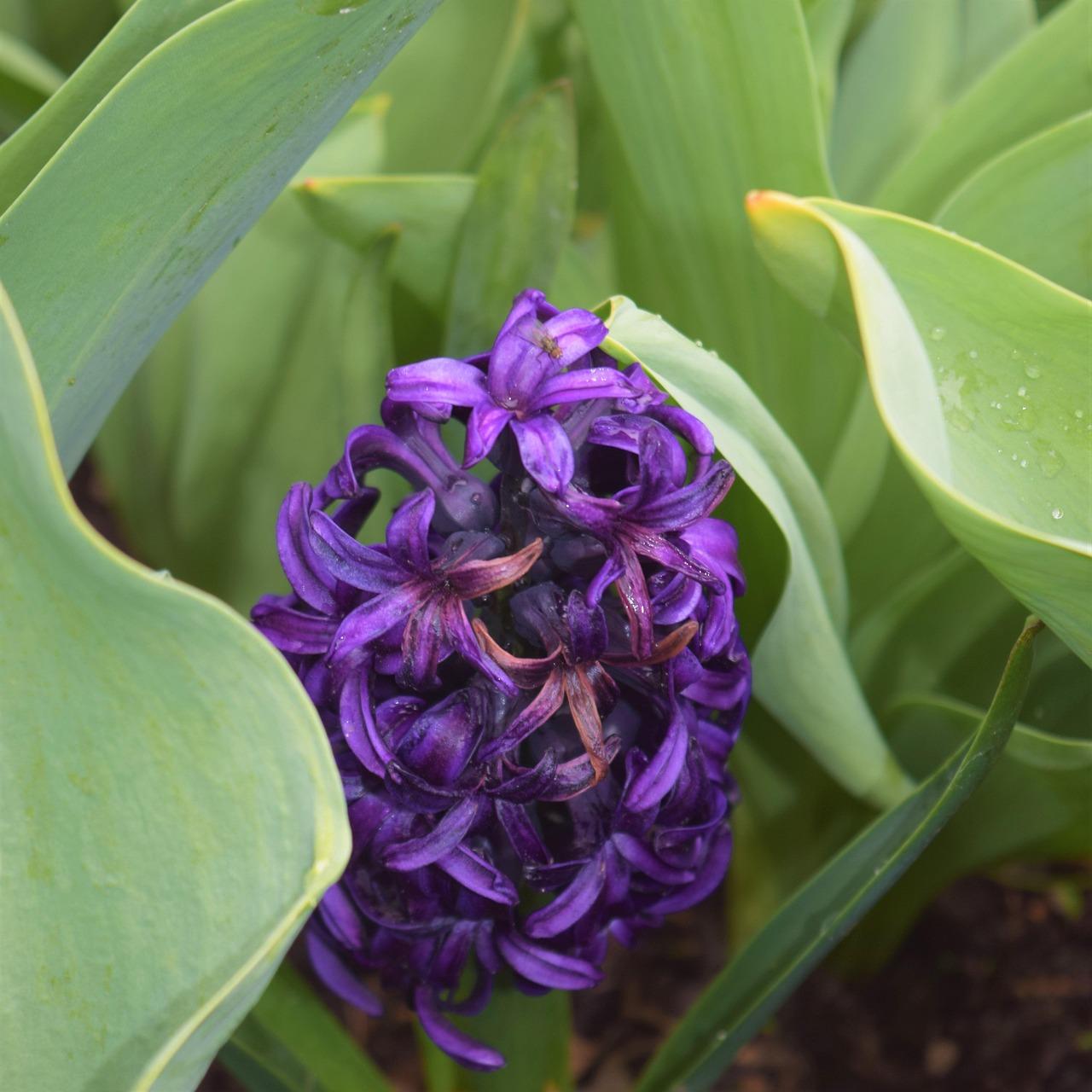 Unlocking Hidden Gems in SEO‍ Tools