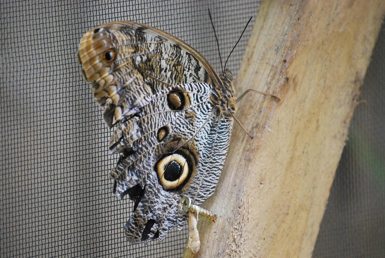 Best​ Practices for Maintaining Design Integrity⁤ During Conversion