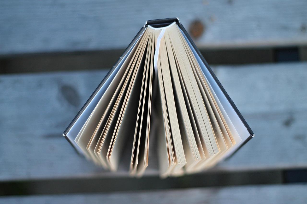 LMS vs Membership WordPress Plugin: Which Is Better for Education Sites?