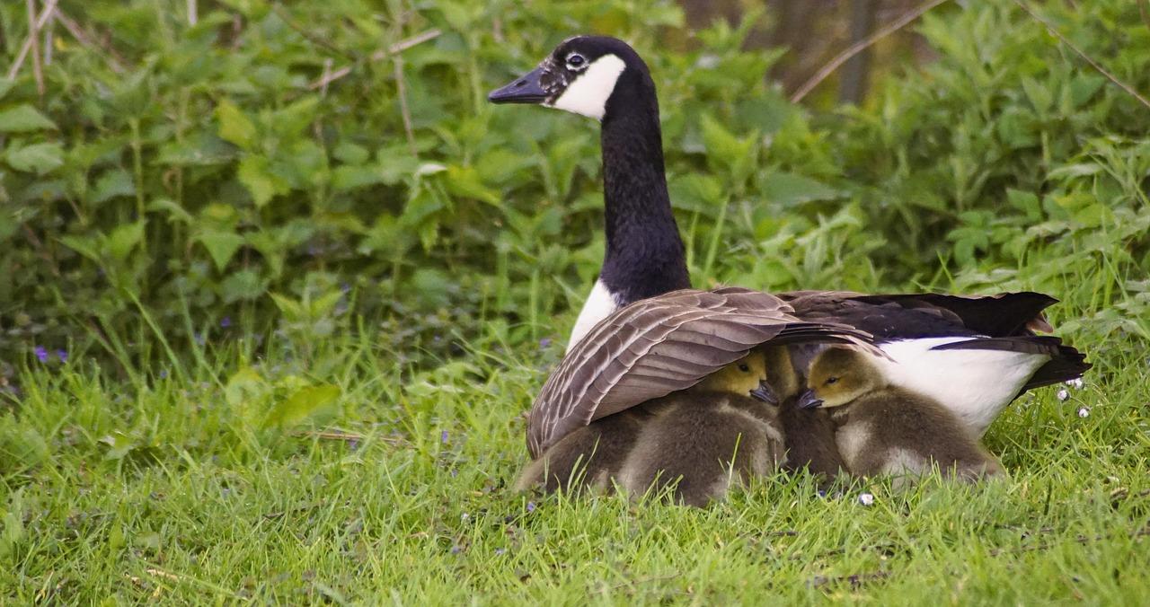 Trusting Your Instincts: Balancing⁢ Reviews with‌ Personal‍ Goals