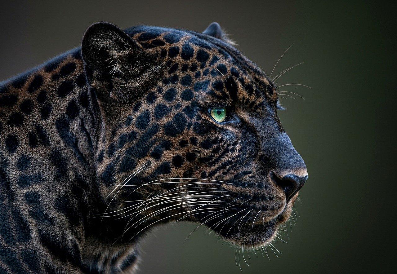 Visualizer’s Latest Release Is Here, Packed With AI Magic