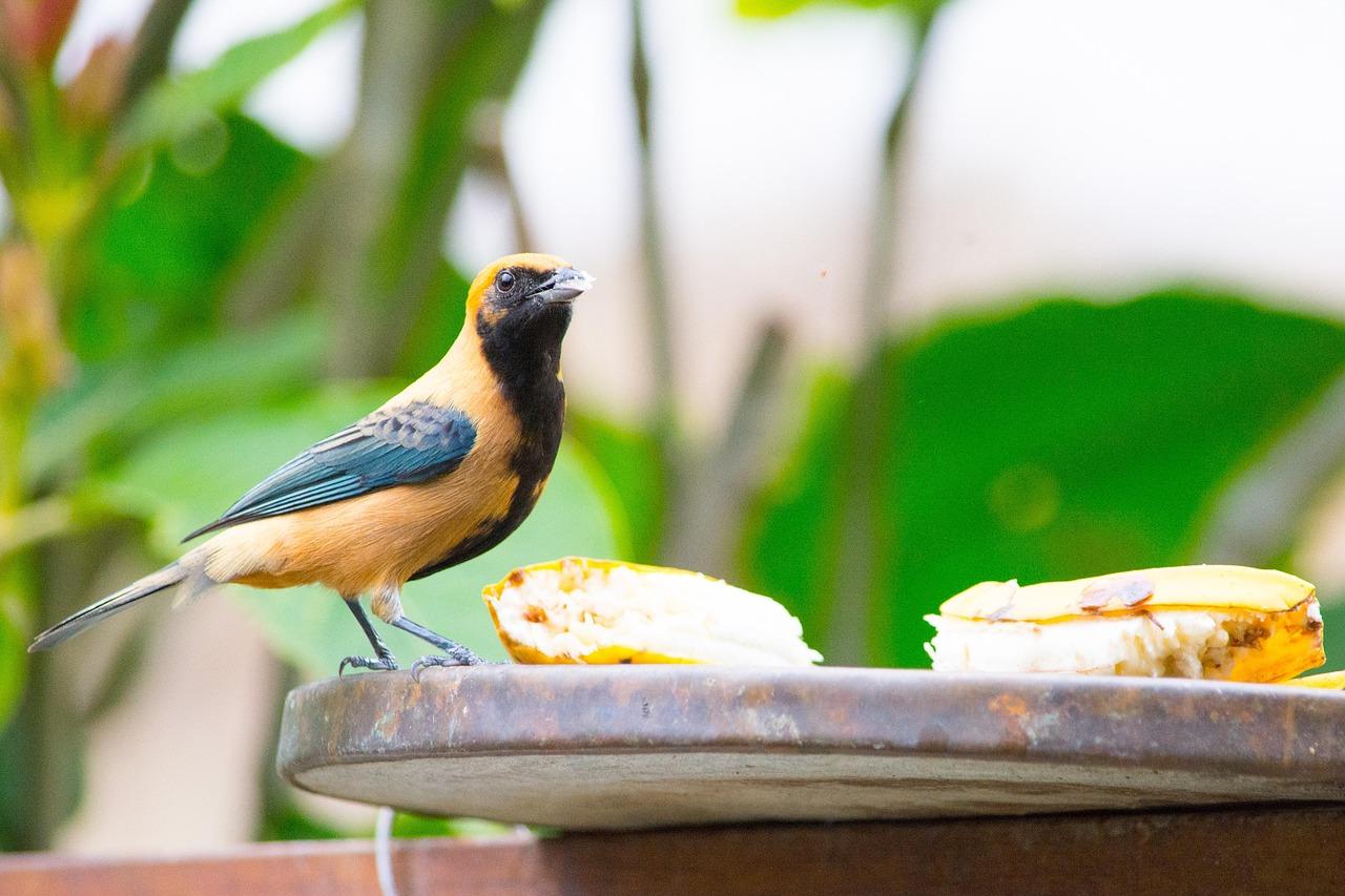 MemberPress Plugin Review: Is It Still Worth It?