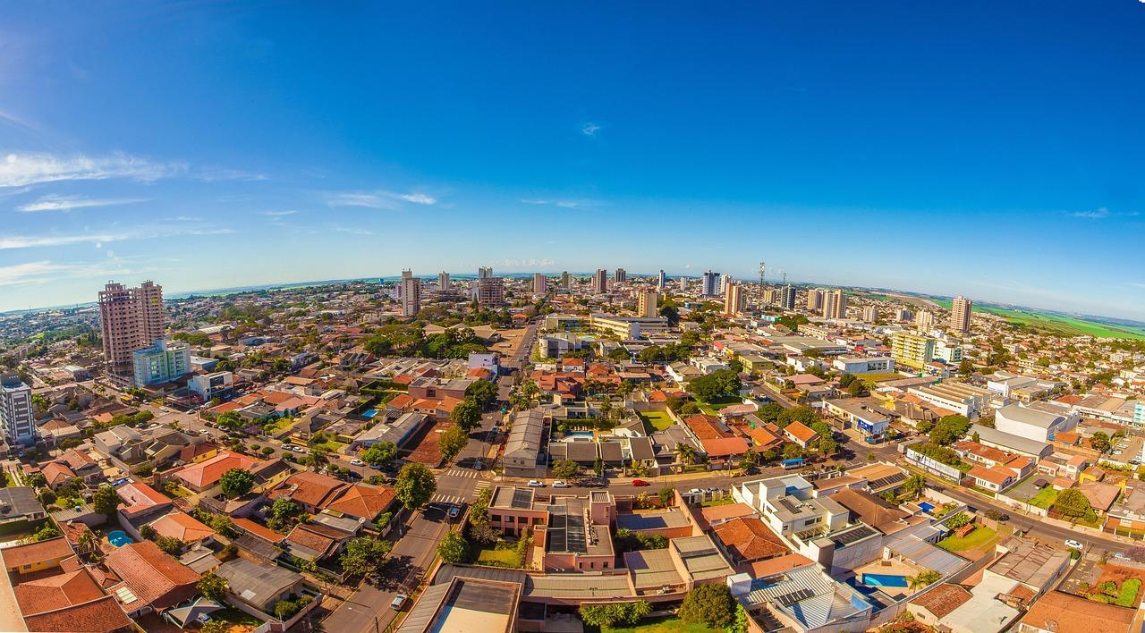 Comparing Top Options: What Sets Them Apart