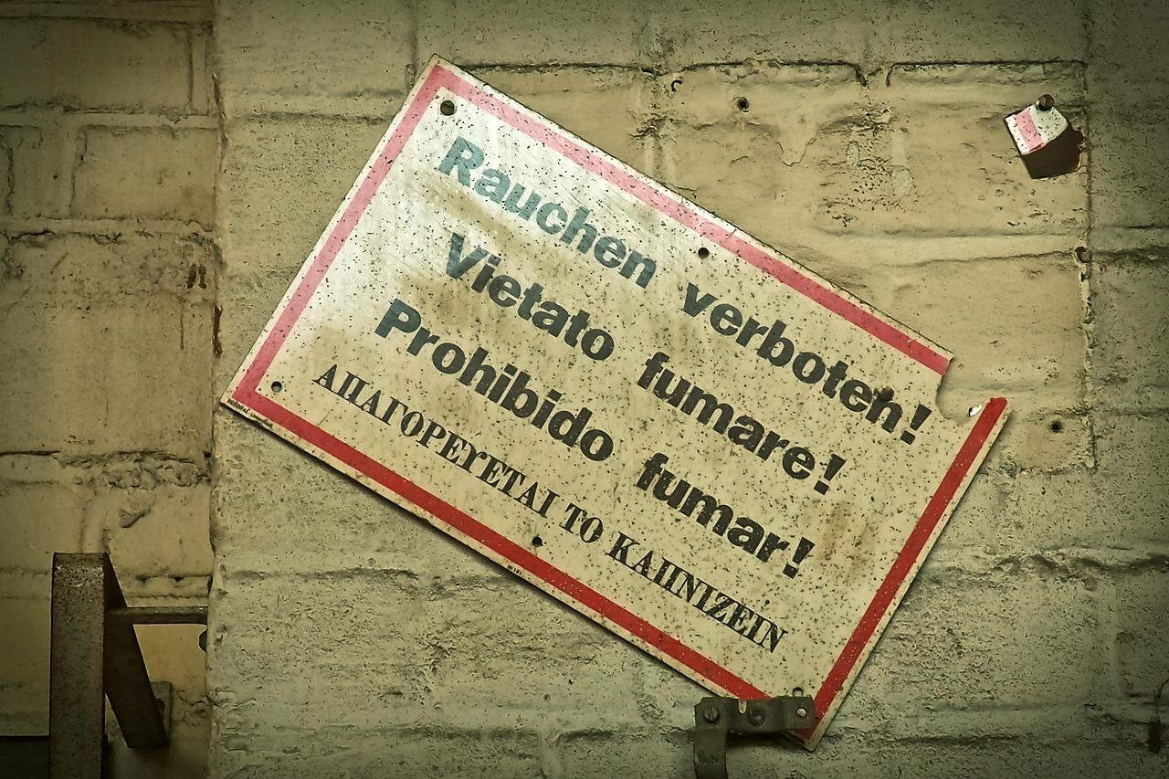 Setting Up Alerts⁣ for Expiration ⁢Notices
