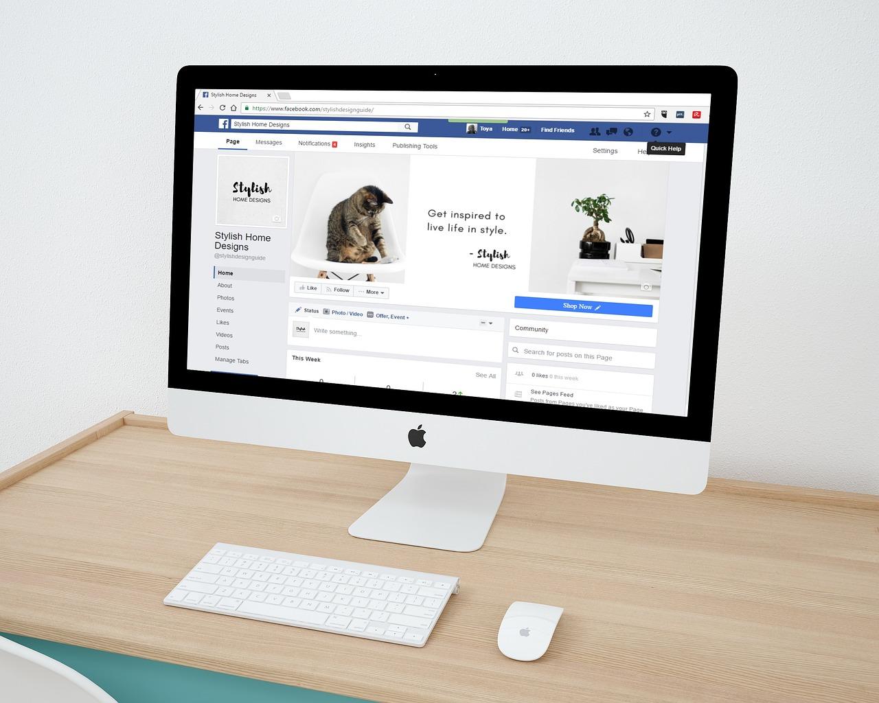 5 Best Affordable Website Design Packages for Small Business