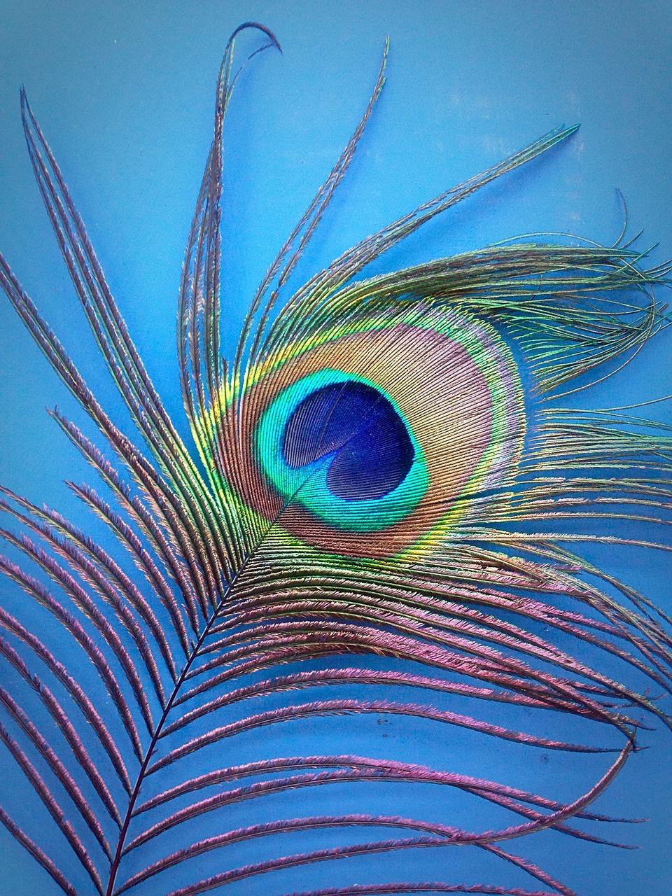Stunning ⁤Designs That⁤ Capture Attention