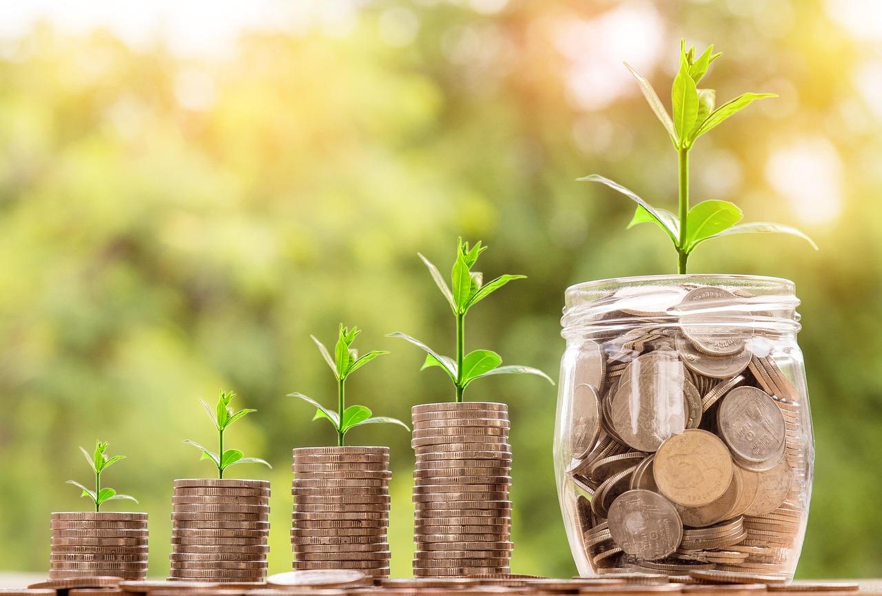 Comparing ⁤Pricing Models and Value for Your Investment