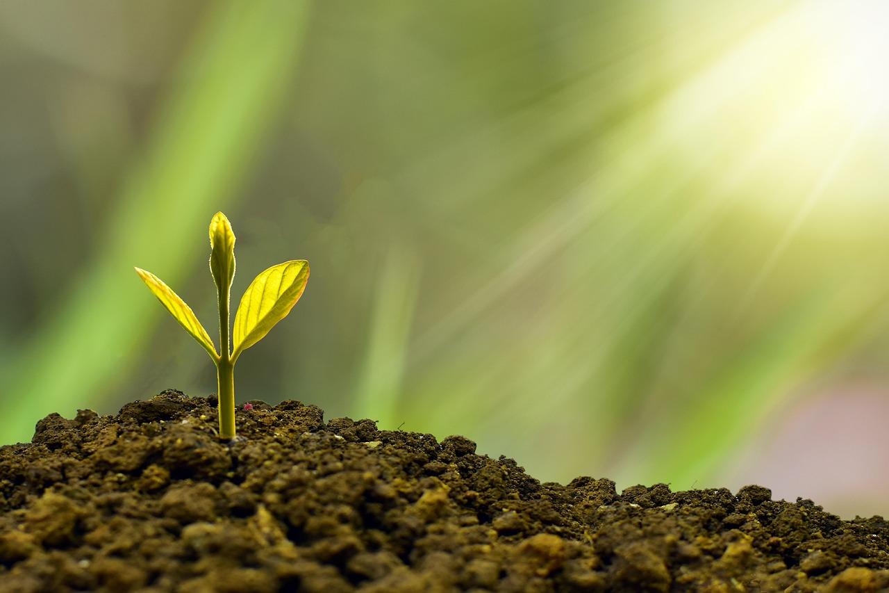 Sustainability as ⁣a Selling Point: Appeal to⁢ Eco-Conscious Buyers
